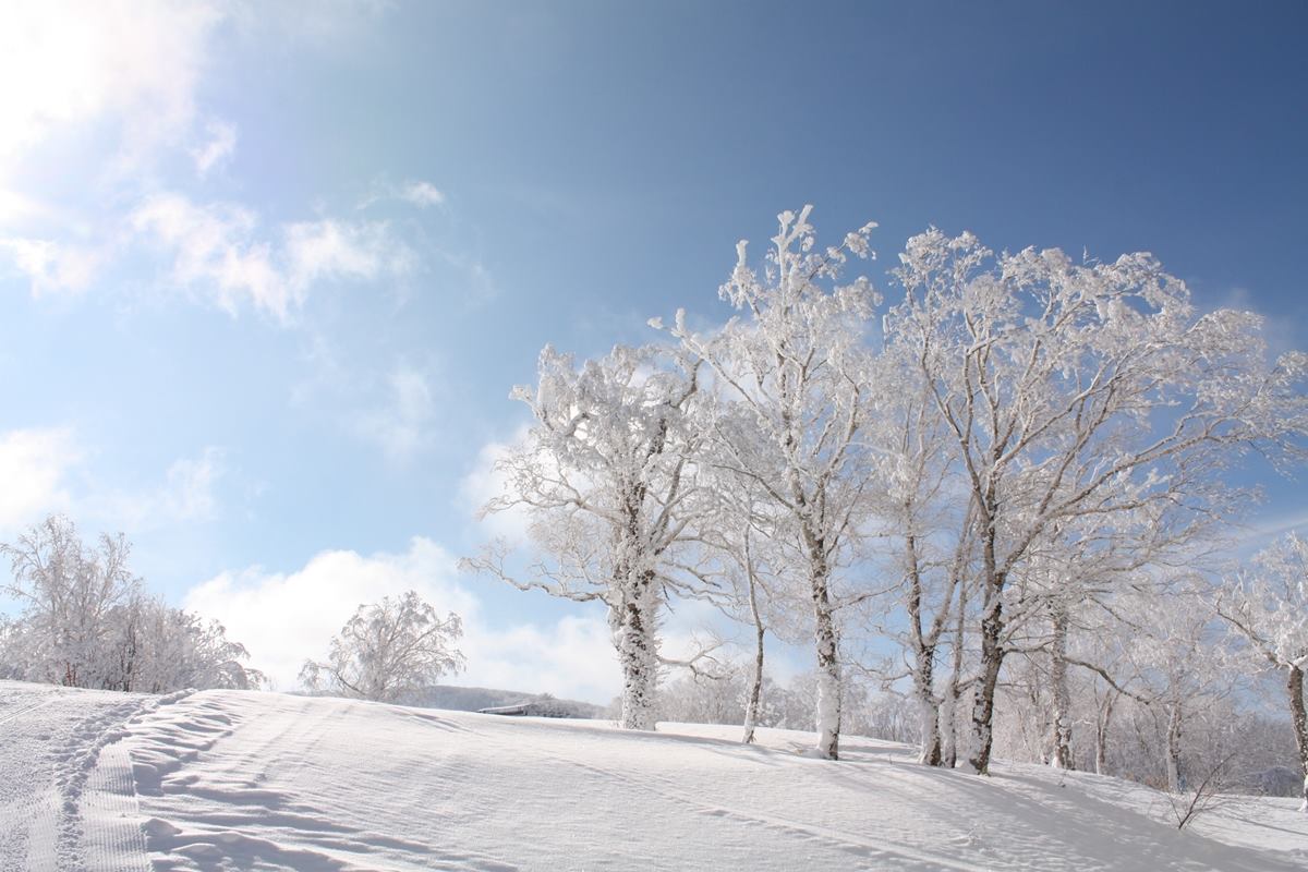 手工剪贴画 冬天雪景