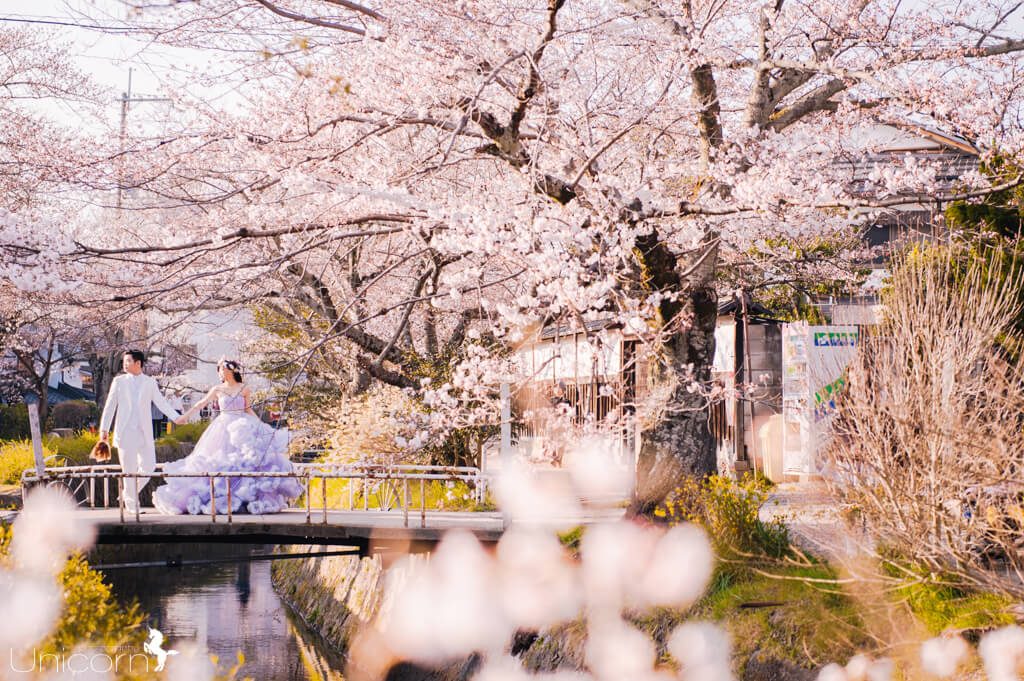 《婚紗》彥廷 & 雅婷 / 京都 Kyoto