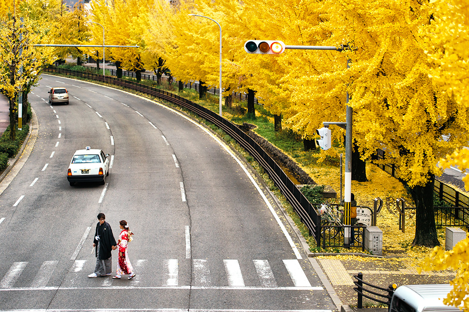 《海外婚紗》嘉文 & 璨華 / 京都 Kyoto