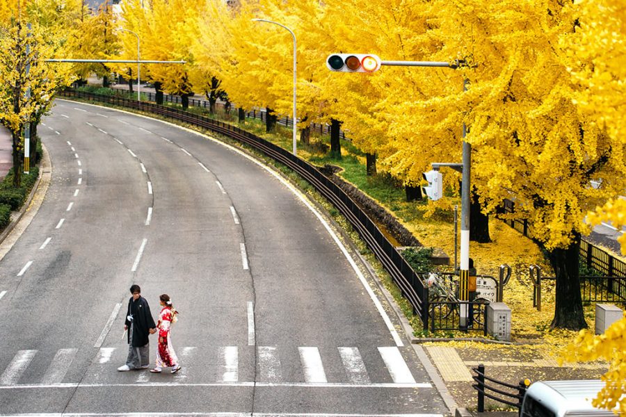《海外婚紗》嘉文 & 璨華 / 京都 Kyoto 楓葉季