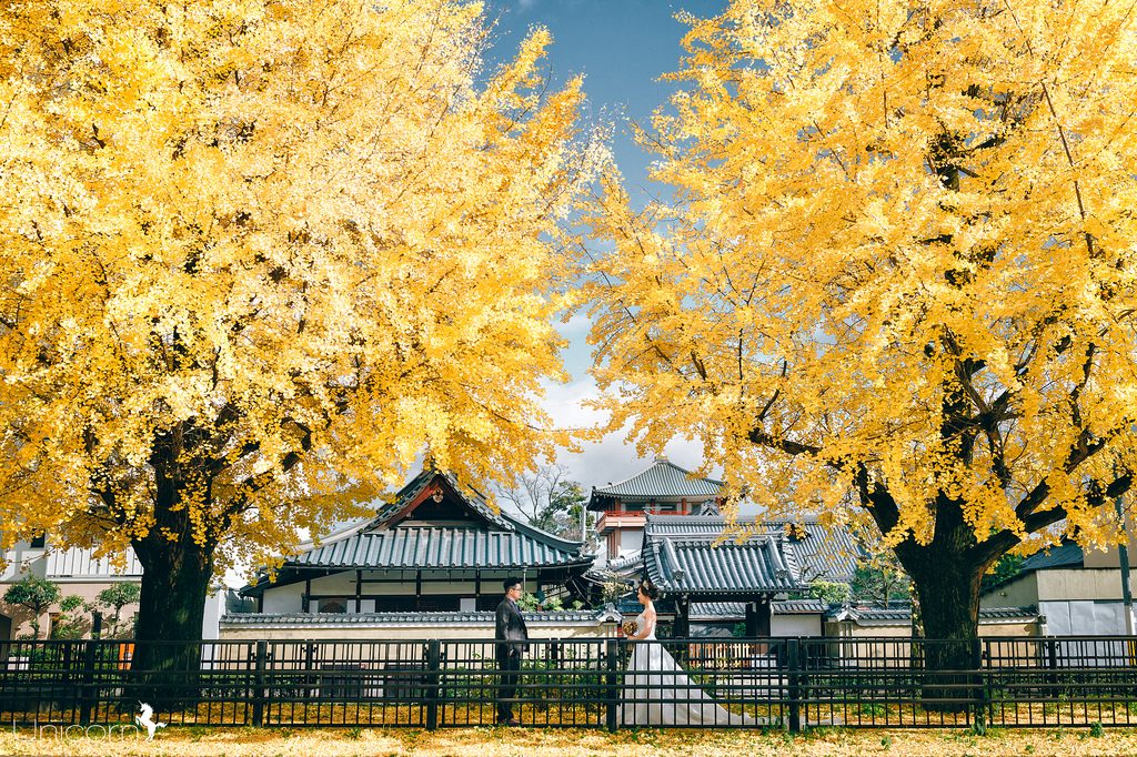 《海外婚紗》岳恩 & 采希 / 京都 Kyoto